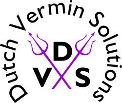 Logo DVS Ongediertebestrijding